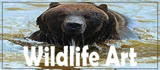 Alaskan Wildlife Artwork